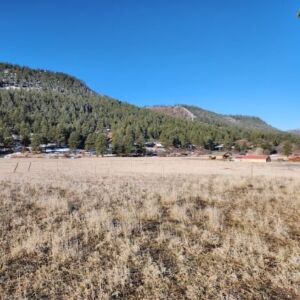1.35 acres in Pagosa Springs, CO (Archuleta County) - APN 589309105009 (photo 2)