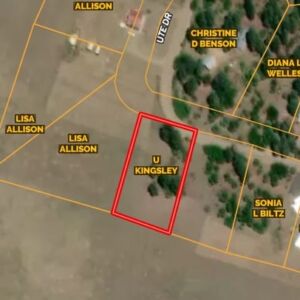 1.35 acres in Pagosa Springs, CO (Archuleta County) - APN 589309105009 (photo 12)