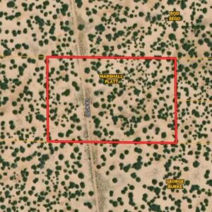 10 acres in St Johns, AZ (Apache County) - APN 205-27-023E (photo 12)