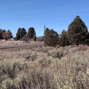 1.50 acres in Chiloquin, Oregon (Klamath County) - APN R345059 (photo 3)