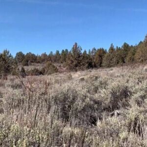 1.50 acres in Chiloquin, Oregon (Klamath County) - APN R345059 (photo 4)