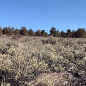 1.50 acres in Chiloquin, Oregon (Klamath County) - APN R345059 (photo 7)