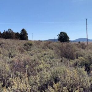 1.50 acres in Chiloquin, Oregon (Klamath County) - APN R345059 (photo 8)