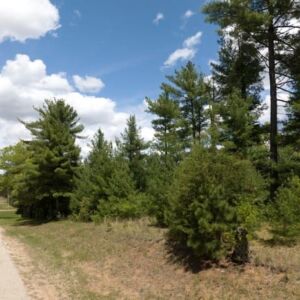 1.47 acres in Friendship, WI (Adams County) - APN 026-01301-0000 (photo 5)