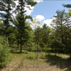 1.47 acres in Friendship, WI (Adams County) - APN 026-01301-0000 (photo 6)