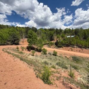 1.06 acres in Cripple Creek, CO (Teller County) - APN 1387.233020280 (R0008468) (photo 2)