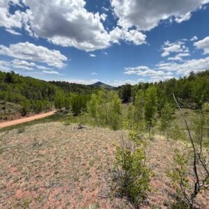 1.06 acres in Cripple Creek, CO (Teller County) - APN 1387.233020280 (R0008468) (photo 4)