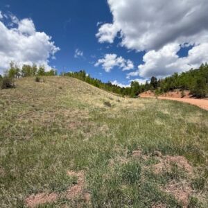 1.06 acres in Cripple Creek, CO (Teller County) - APN 1387.233020280 (R0008468) (photo 6)