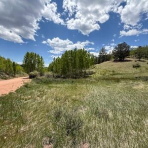 1.06 acres in Cripple Creek, CO (Teller County) - APN 1387.233020280 (R0008468) (photo 7)