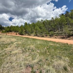 1.06 acres in Cripple Creek, CO (Teller County) - APN 1387.233020280 (R0008468) (photo 8)