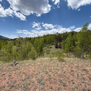1.06 acres in Cripple Creek, CO (Teller County) - APN 1387.233020280 (R0008468) (photo 3)
