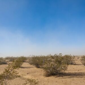 1.25 acres in Hackberry, AZ (Mohave County) - APN 312-10-010 (photo 6)