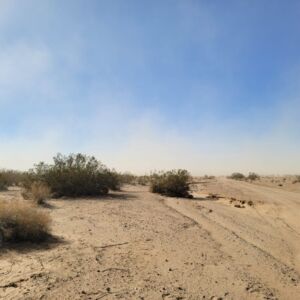 1.25 acres in Hackberry, AZ (Mohave County) - APN 312-10-010 (photo 3)
