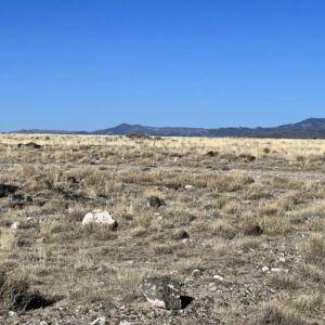 9.56 acres in Blanca, CO (Costilla County) - APN 70303690 & 70303700 (photo 3)