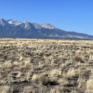 9.56 acres in Blanca, CO (Costilla County) - APN 70303690 & 70303700 (photo 4)