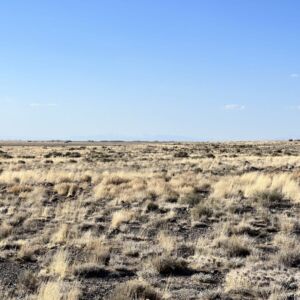 9.56 acres in Blanca, CO (Costilla County) - APN 70303690 & 70303700 (photo 5)
