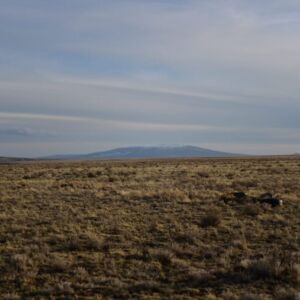 5.00 acres in San Luis, CO (Costilla County) - APN 71509130 (photo 7)