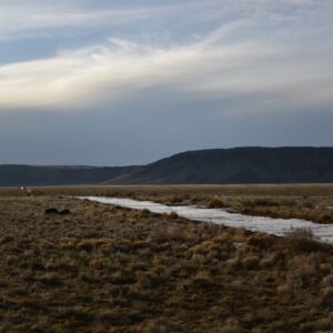 5.00 acres in San Luis, CO (Costilla County) - APN 71509130 (photo 6)