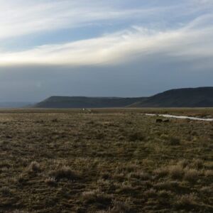 5.00 acres in San Luis, CO (Costilla County) - APN 71509130 (photo 5)