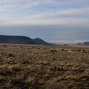 5.00 acres in San Luis, CO (Costilla County) - APN 71509130 (photo 4)