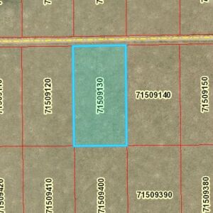 5.00 acres in San Luis, CO (Costilla County) - APN 71509130 (photo 8)