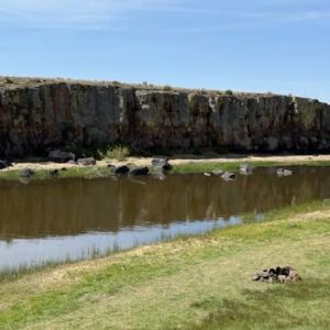 0.21 acres in Antonito, CO (Costilla County) - APN 71615910 Lot 273 (photo 7)