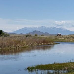 0.21 acres in Antonito, CO (Costilla County) - APN 71615910 Lot 273 (photo 9)