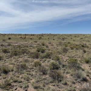 0.21 acres in Antonito, CO (Costilla County) - APN 71615910 Lot 273 (photo 5)