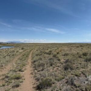 0.21 acres in Antonito, CO (Costilla County) - APN 71615910 Lot 273 (photo 4)