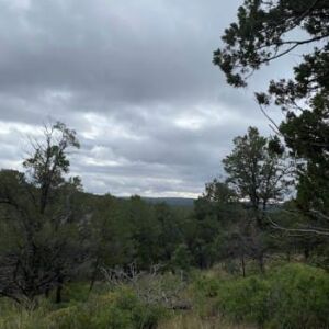 0.67 acres in Timberon, NM (Otero County) - APN R044420 (photo 5)