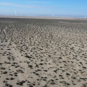 2.44 acres in Hinkley, CA (San Bernardino County) - APN 490423100000 (photo 3)