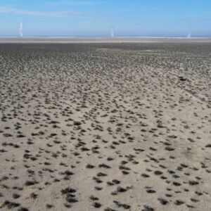 2.44 acres in Hinkley, CA (San Bernardino County) - APN 490423100000 (photo 5)