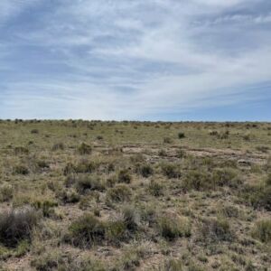 5.00 acres in San Luis, CO (Costilla County) - APN 71534263 (photo 2)