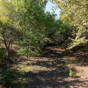 4.94 acres in Norman, OK (Cleveland County) - APN R0023515 (photo 12)