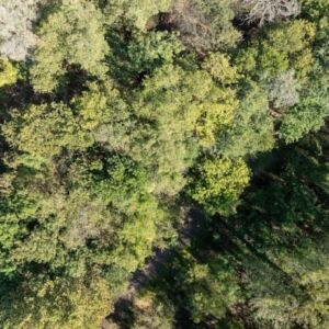 4.94 acres in Norman, OK (Cleveland County) - APN R0023515 (photo 15)