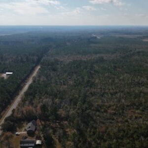 2.38 acres in Maple Hill, NC (Onslow County) - APN 705-6 (7056) Lot 1 (photo 14)