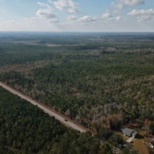 2.38 acres in Maple Hill, NC (Onslow County) - APN 705-6 (7056) Lot 1 (photo 13)