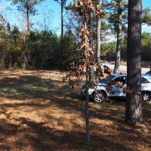 2.38 acres in Maple Hill, NC (Onslow County) - APN 705-6 (7056) Lot 1 (photo 2)