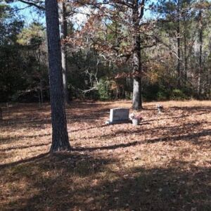 2.38 acres in Maple Hill, NC (Onslow County) - APN 705-6 (7056) Lot 1 (photo 9)
