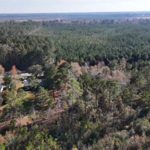 2.38 acres in Maple Hill, NC (Onslow County) - APN 705-6 (7056) Lot 1 (photo 7)