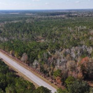 2.38 acres in Maple Hill, NC (Onslow County) - APN 705-6 (7056) Lot 1 (photo 8)