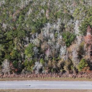 2.38 acres in Maple Hill, NC (Onslow County) - APN 705-6 (7056) Lot 1 (photo 10)