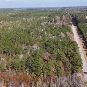2.38 acres in Maple Hill, NC (Onslow County) - APN 705-6 (7056) Lot 1 (photo 11)