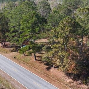 2.38 acres in Maple Hill, NC (Onslow County) - APN 705-6 (7056) Lot 1 (photo 6)