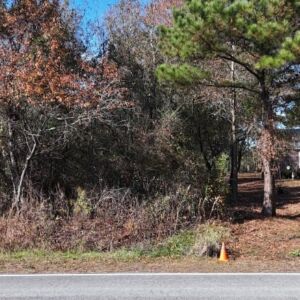2.38 acres in Maple Hill, NC (Onslow County) - APN 705-6 (7056) Lot 1 (photo 5)