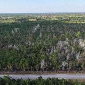 2.38 acres in Maple Hill, NC (Onslow County) - APN 705-6 (7056) Lot 1 (photo 15)