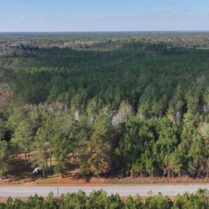 2.38 acres in Maple Hill, NC (Onslow County) - APN 705-6 (7056) Lot 1 (photo 16)