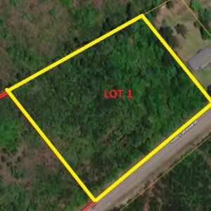 2.38 acres in Maple Hill, NC (Onslow County) - APN 705-6 (7056) Lot 1 (photo 19)