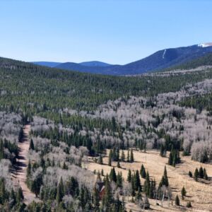 7.78 acres in Fort Garland, CO (Costilla County) - APN 70123020 & 70123010 (photo 6)