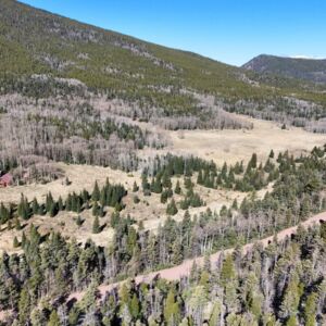 7.78 acres in Fort Garland, CO (Costilla County) - APN 70123020 & 70123010 (photo 5)